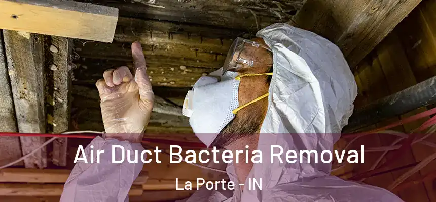  Air Duct Bacteria Removal La Porte - IN