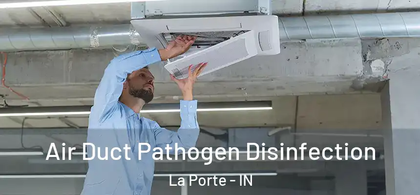  Air Duct Pathogen Disinfection La Porte - IN