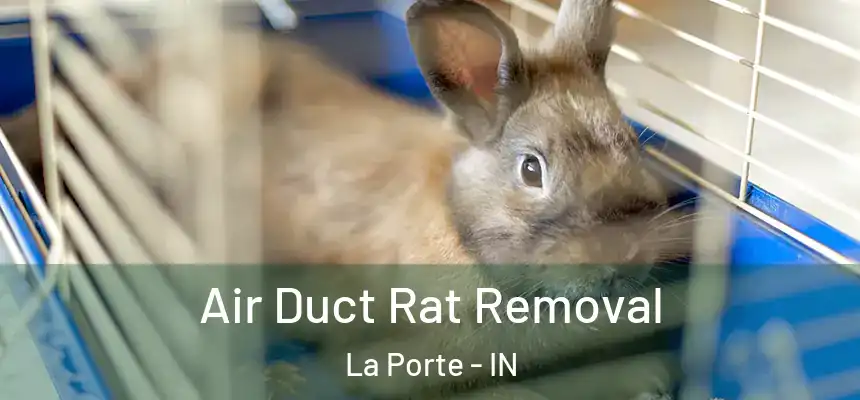 Air Duct Rat Removal La Porte - IN