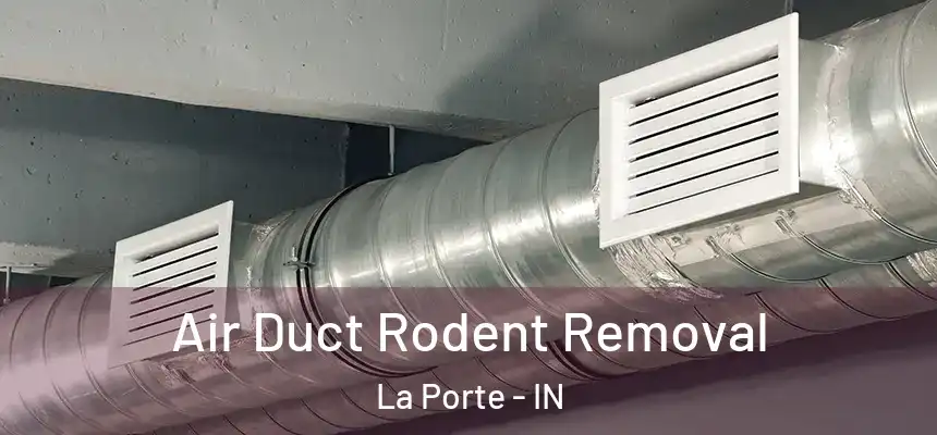  Air Duct Rodent Removal La Porte - IN