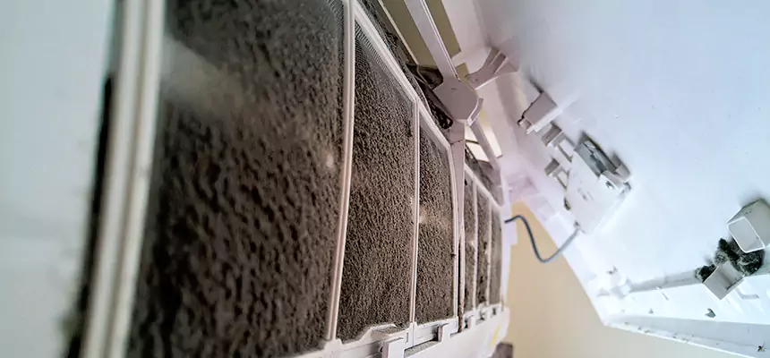 Preventive Air Duct Bacteria Removal in La Porte