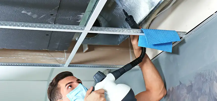 Our Air Duct Rodent Removal Services in La Porte, IN