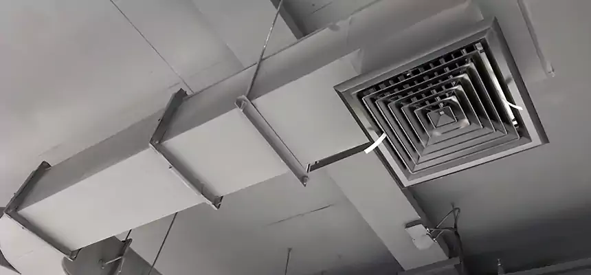 Restorative Allergy Relief Vent Cleaning – Coil, Blower & Housing Detail in La Porte