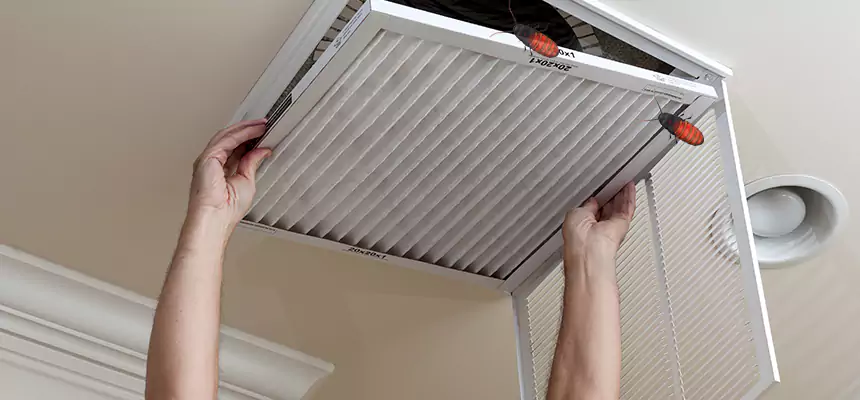 Our Insect Removal from Air Ducts Services in La Porte, IN
