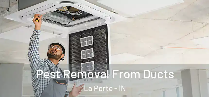  Pest Removal From Ducts La Porte - IN