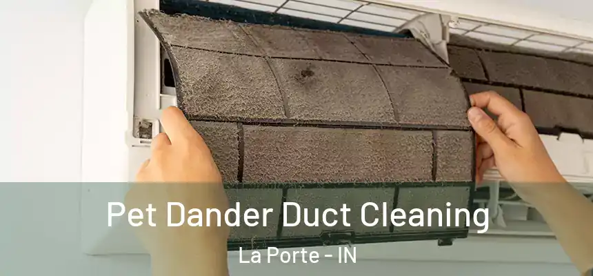 Pet Dander Duct Cleaning La Porte - IN