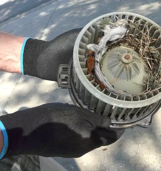 About Air Duct Mice Removal in La Porte, IN