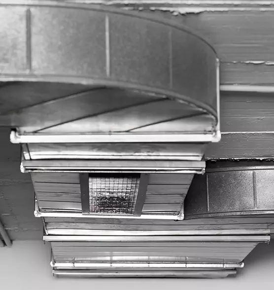 Professional Air Duct Pet Hair Removal in La Porte, IN